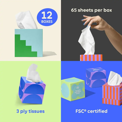 Who Gives A Crap The Bigger Bundle, 48 Bamboo Toilet Paper Rolls & 12 Bamboo Tissue Boxes, 12 Recycled Paper Towel Rolls, Eco Friendly, Sustainable, Plastic Free Household Essentials