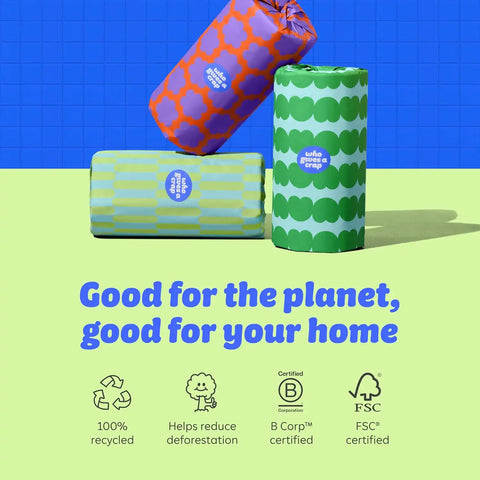 Who Gives a Crap Recycled Paper Towels, 2 Ply, 12 Rolls, 135 Adjustable Sheets per Roll, 100% Recycled Paper, Strong, Durable, Absorbent, & Sustainable, Eco Friendly With Plastic Free Packaging, White